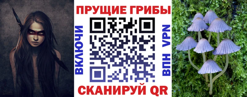 Галлюциногенные грибы прущие грибы  кракен онион  Людиново 