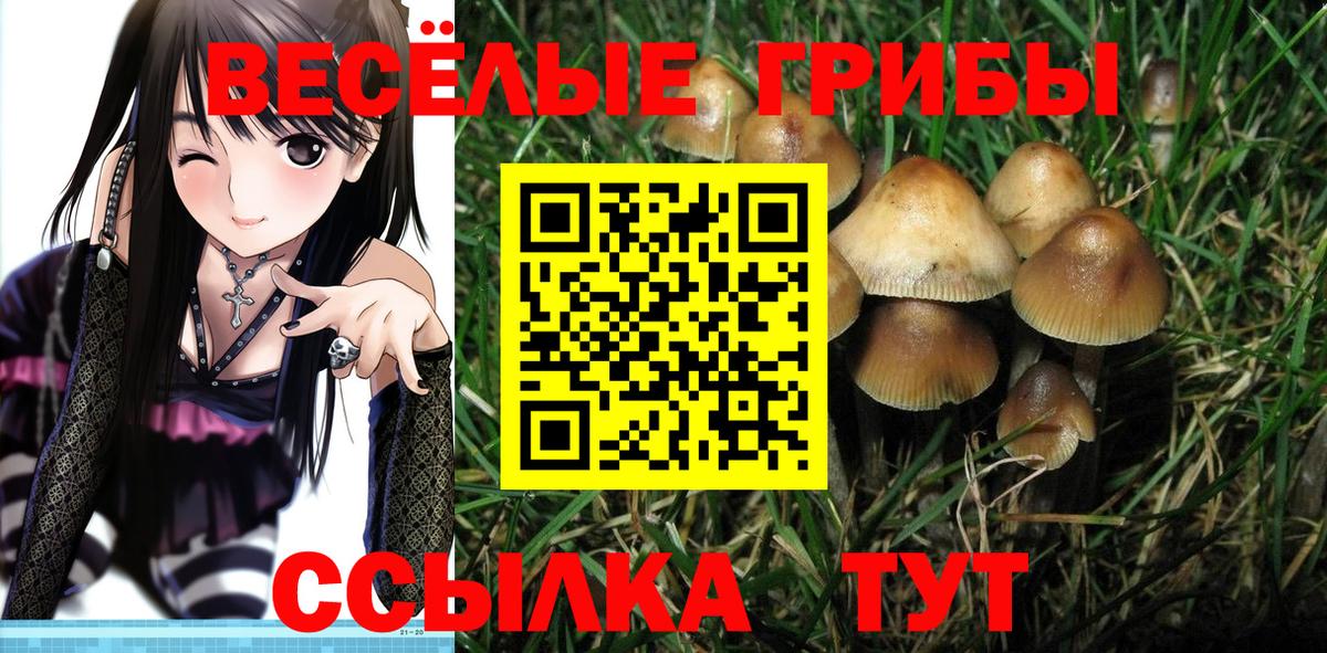 Галлюциногенные грибы Magic Shrooms  купить наркотики цена  Псилоцибиновые грибы Psilocybe  Людиново  Вход с VPN 