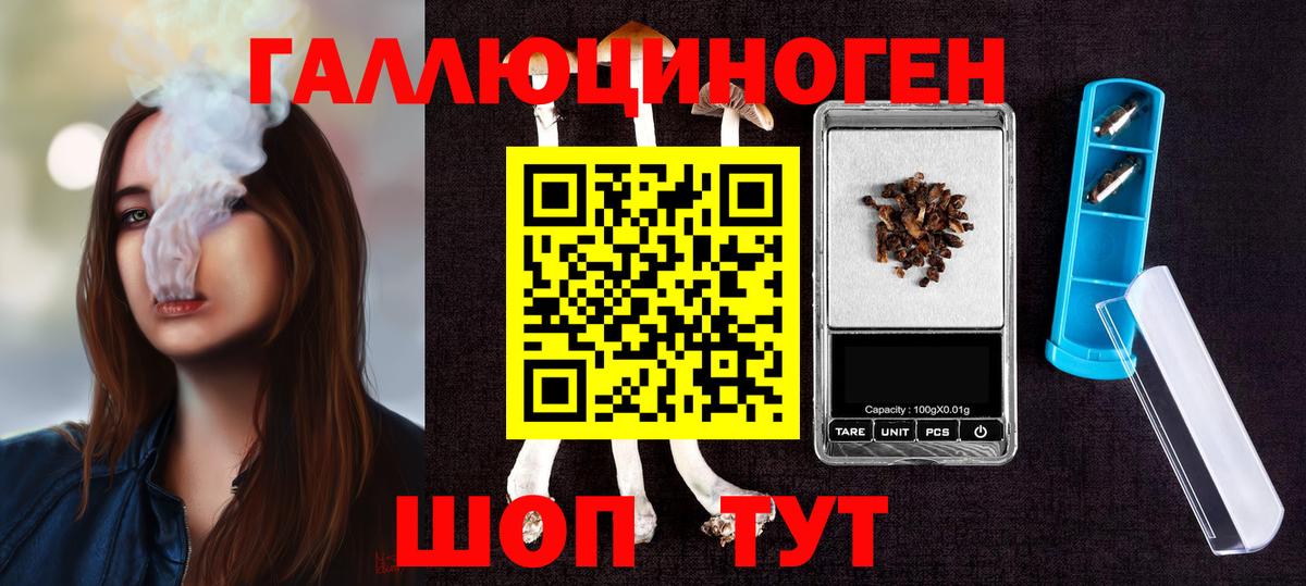 Псилоцибиновые грибы Cubensis Людиново